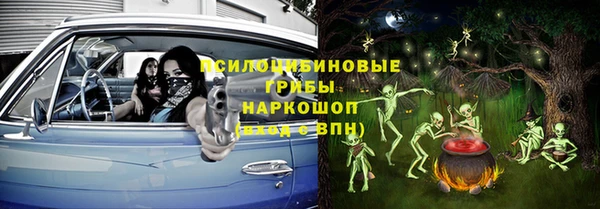 круглые Алзамай