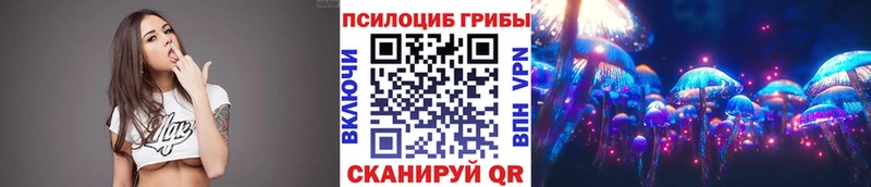 где найти наркотики  Беслан  Псилоцибиновые грибы Psilocybine cubensis 